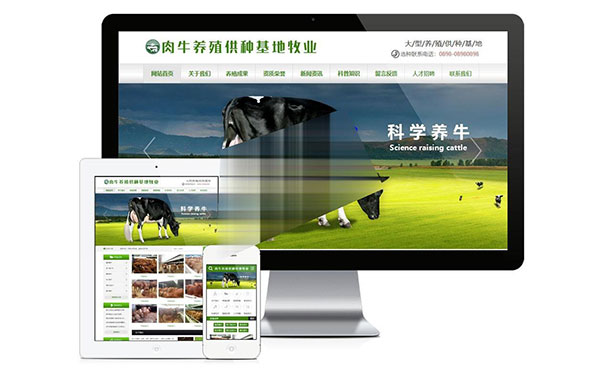 易优cms肉牛养殖基地牧业公司网站模板源代码 带手机