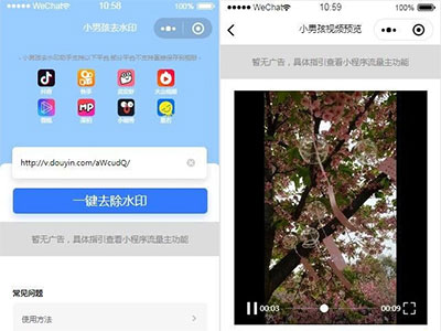 抖音水印小程序源码独立版