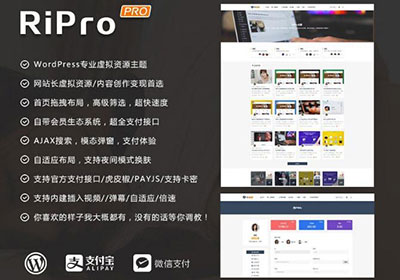 WordPress主题 RiProV4.3.0破解授权无限版本