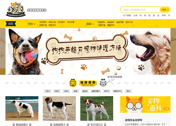 帝国CMS内核仿《小可爱宠物网》宠物信息平台网站源码完整版 火车头采集 手机版