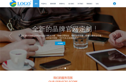 Discuz X3.2模板 高端企业官网 新年GBK商业版